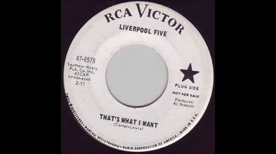 Liverpool Five (1965) - That's What I Want