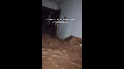 Este gobierno, con sus políticas verdes y globalistas como las de Feijóo, son los responsables directos de la catástrofe y muertes de Valencia.