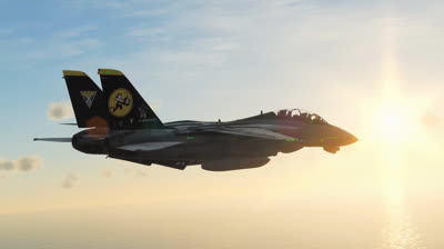 F-14 Tomcats - Felix 100 and 101