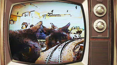 YOU SHALL NOT PASS!!! meowmeow