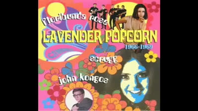 Floribunda Rose (1967) - One Way Street