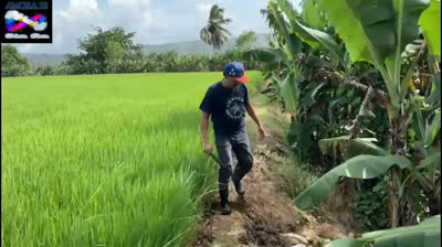 LAS HERENCIAS SIEMPRE TRAEN PROBLEMAS