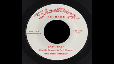 Wild Cherries (1966) - Baby, Baby