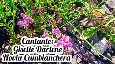 EN TORNO A VOS (CUMBIA)