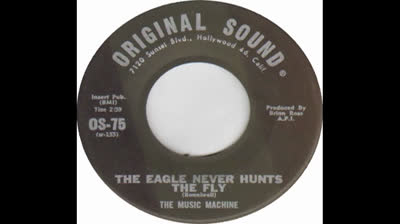 Music Machine (1967) - The Eagle Never Hunts The Fly